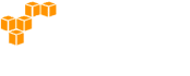 AWS Partner icon