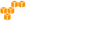 AWS Partner icon